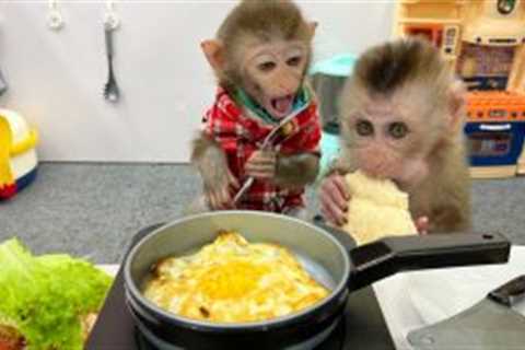 Naughty BimBim fried eggs make sandwiches take care of baby monkey Obi