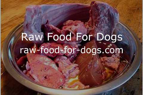 Raw Dog Food Guidelines - Feeding Your Dog A Raw Diet & The Best Affordable Options