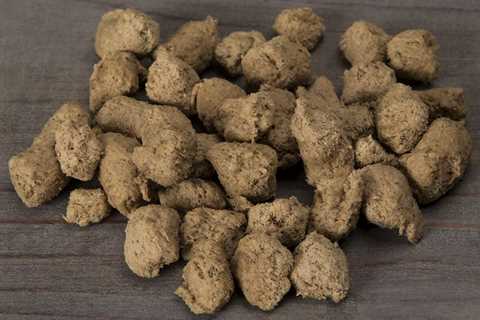 Organic Dog Food Natural Frozen And Freeze Dried Raw Food For Dogs