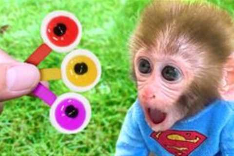 Monkey Baby Bon Bon and puppy eat Jelly Lego and harvest candy Eyeballs in the garden