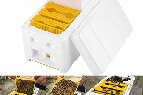 SELUXU Bee Hive Box,Hive Box Harvest Beehive Pollination Beekeeping For Bee Mating Copulation for..