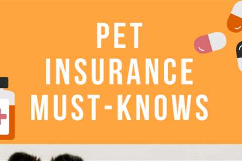 Here are some things you should know about pet insurance