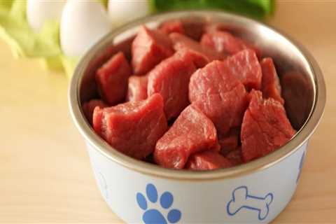 Which raw food is best for dogs?