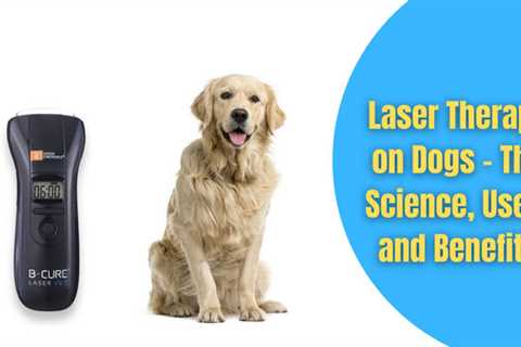 Laser Therapy on Dogs_ The Science, Uses, and Benefits