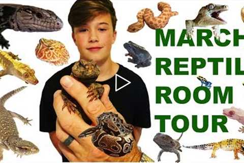 MARCH REPTILE ROOM TOUR - NEW ANIMALS!!!