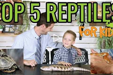 Top 5 Reptiles For Kids