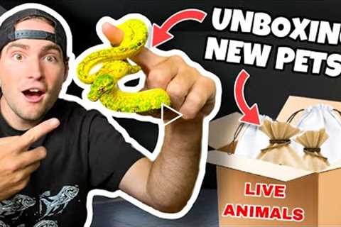 UNBOXING NEW EXOTIC PETS ! WHAT DID WE GET ?!