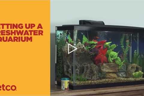 How to Setup a Fish Tank - Freshwater (Petco)