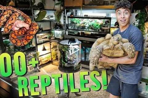 COMPLETE REPTILE ROOM TOUR!! (August 2022)