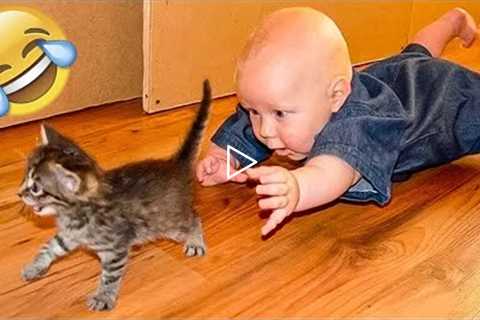 1 HOUR FUNNY CATS COMPILATION 2022😂| Funny and Cute Cat Videos😸 !