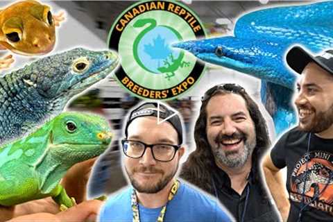 WHO BOUGHT the RAREST LIZARD at the CANADIAN REPTILE BREEDERS EXPO?!