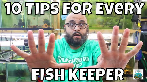 10 Tips for ANY Fishkeeper