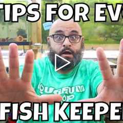 10 Tips for ANY Fishkeeper