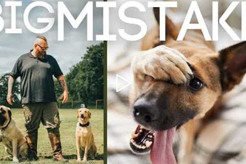 The Biggest Mistake Dog Owners Make