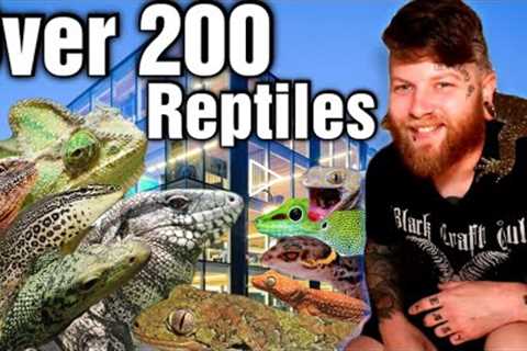 I Filled An Entire Building With Reptiles! Reptile Room Tour