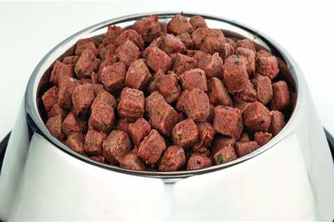 What Is Frozen Raw Dog Food?