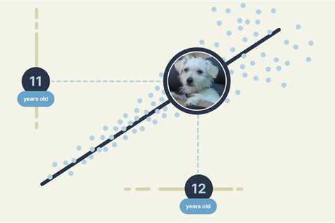 How old is your dog, really? Predicting age through methylation