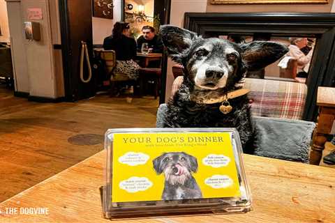 King’s Head Teddington: 4 Reasons To Visit With Your Dog
