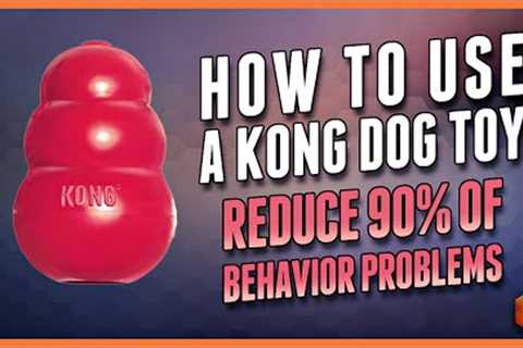 How to Use Kong Toys to Help Enrich Your Dog''s Life (And Improve Behavior)
