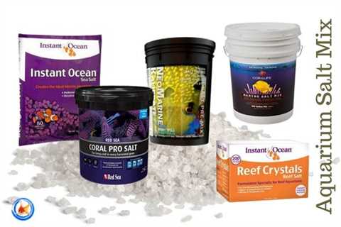 7 Best Aquarium Salt Mix: Reviews & Benefits Of Use