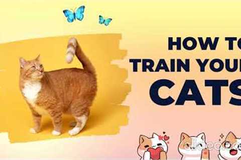 2023 funniest cat fails compilation & blooper. How to train your cat? Trending Funny Animal..