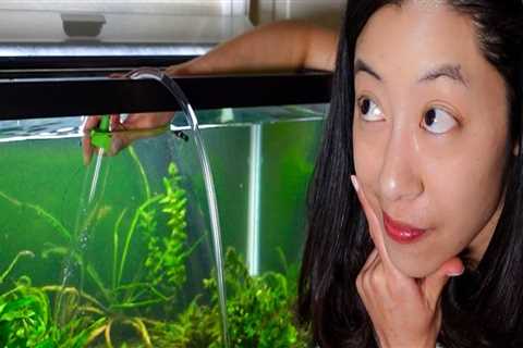 How often should I clean my fish tank?