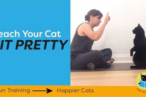 Clicker Train Your Cat To Balance On Their Back Paws