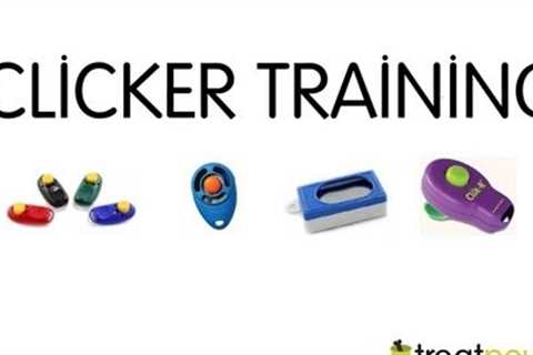 Introduction to Dog Training / Clicker Training