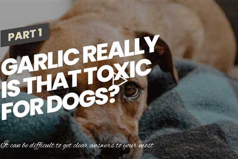 Garlic really is that toxic for dogs?