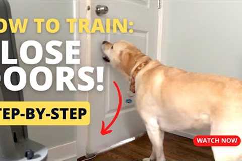 How To Train Your Dog To CLOSE DOORS!