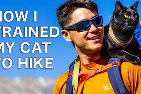 How to Train your Cat for hikes