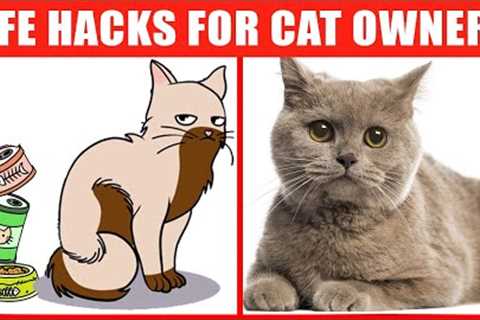 Cat Life Hacks That’ll Change Your Life