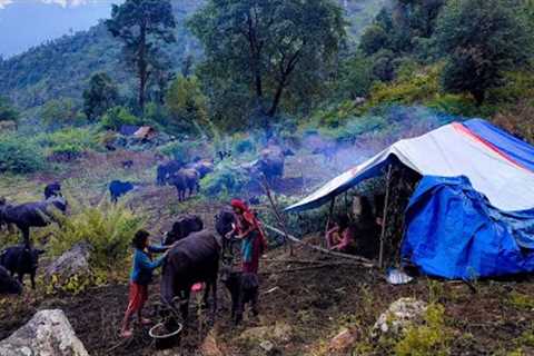 Simply The Best Nepali Mountain Village Life |Organic shepherd Life Nepal | VillageLifeNepal