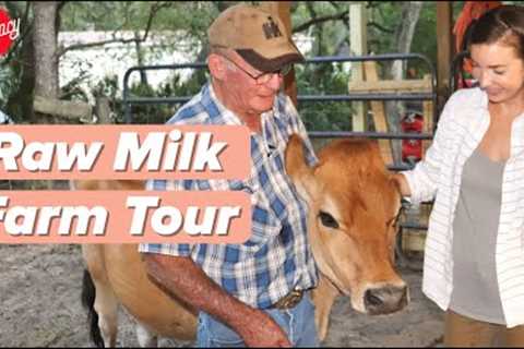 Raw Milk Farm Mini Documentary - Learn about Raw Milk from a REAL Farmer