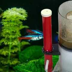How Does a Protein Skimmer Work & How Does It Clean Saltwater Aquariums?