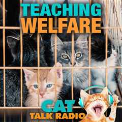 How do you teach Animal Welfare?