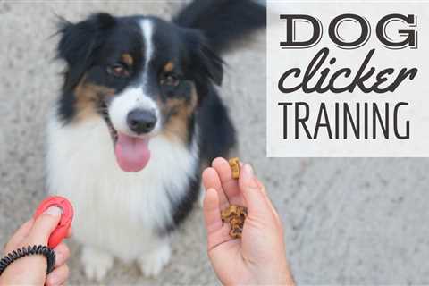 Clicker Training For Dogs