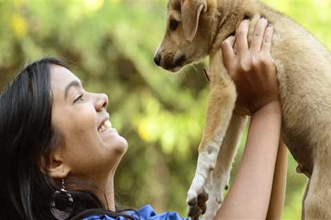 Does the Delaware, Ohio Pet Shelter Offer Training Classes?