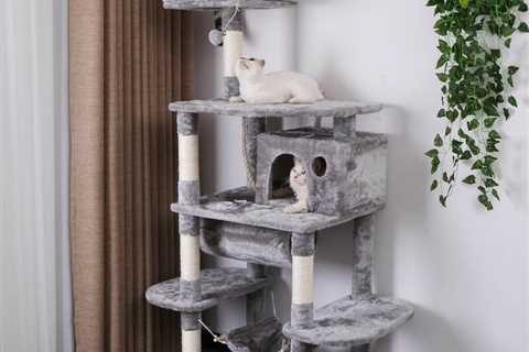 Do cats use cat trees?