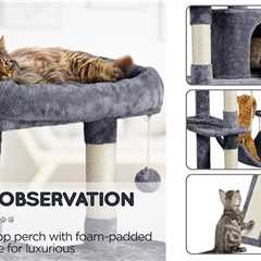 Stylish Cat Trees and Unique Cat Trees