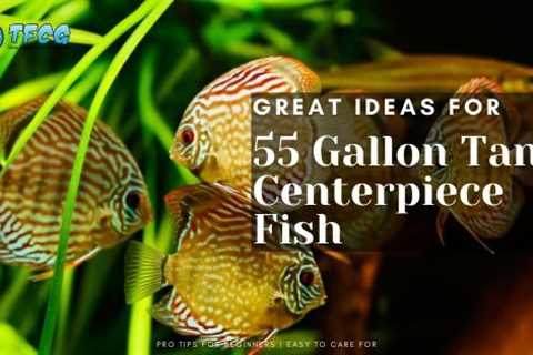 Centerpiece Fish For 55 Gallon Tank [Best Community Ideas]