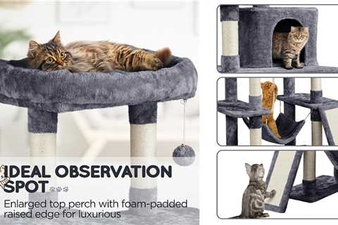 Stylish Cat Trees and Unique Cat Trees