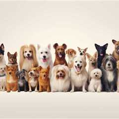 What Health Issues Are Predominantly Found in Different Dog Breeds?