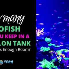 How Many Glofish In A 20 Gallon Tank