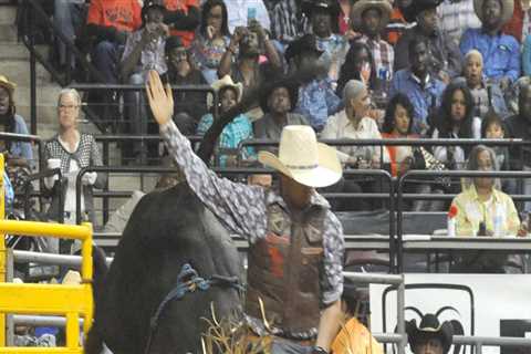 How Much Does it Cost to Attend the Rodeo in Bossier City, Louisiana?