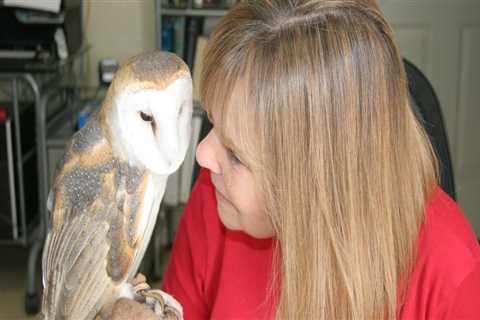 Wildlife Education Programs in Lubbock, Texas: A Comprehensive Guide