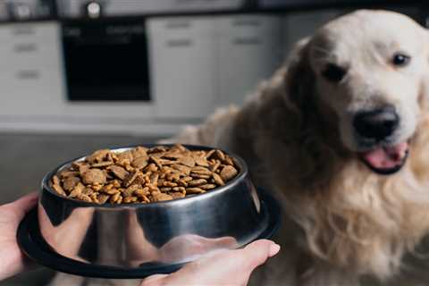 Diamond Naturals: Quality Grain-Free Dog Food