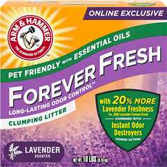 Arm & Hammer Lavender Cat Litter Review: Freshness Unleashed!