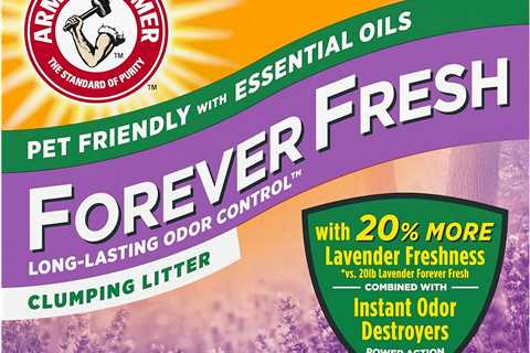 Arm & Hammer Lavender Cat Litter Review: Freshness Unleashed!