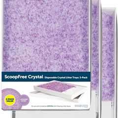 PetSafe ScoopFree Review: Lavender Freshness